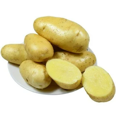 hot selling vegetable fresh potato potato exporter - buy potato