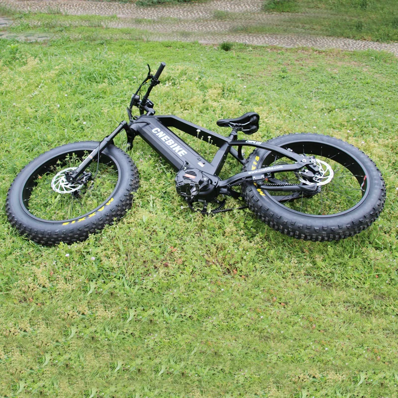 2025 Belt Drive Electric Bike/Bicycle, Two Battery Ebike 8fun Bafang M620  Fat Tire Bosch Electric Bike With Rohloff 14 Speeds