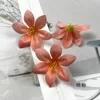Peach Pink