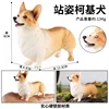 M-1089 stand corgi