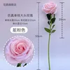 Dusty pink single large-headed rose