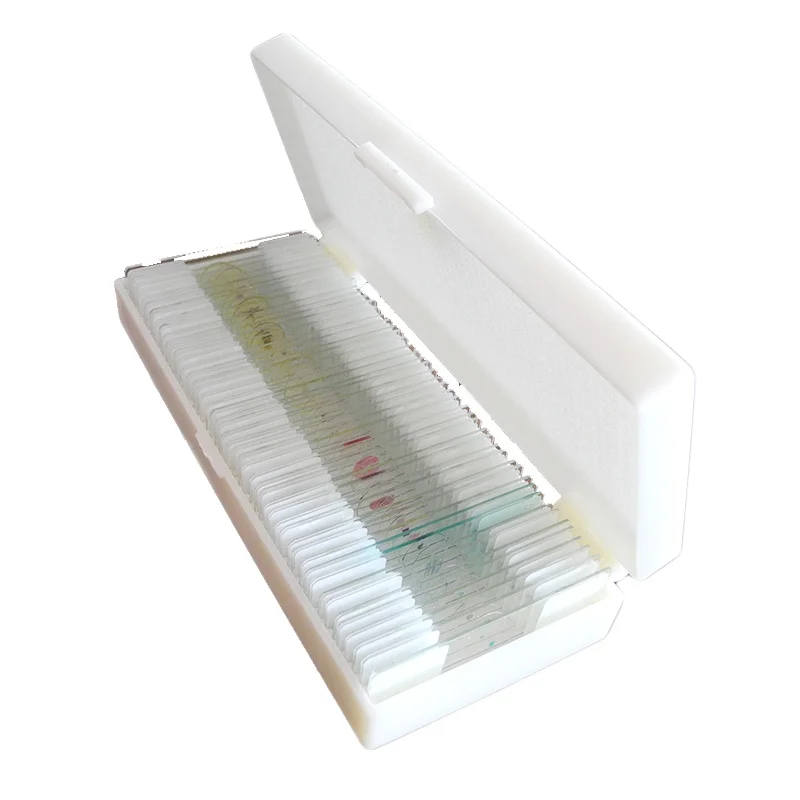 Parasitology Set of 50 Pcs  Slides  Studying Microscope Prepared Slides Prepared Slides Microscope
