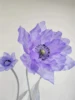 coquelicot de 30 cm