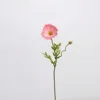 Pu petit coquelicot-rose