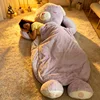 Purple Bear