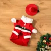 Christmas goose costume