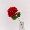 branche rouge