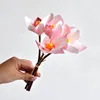 สีชมพู