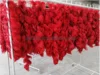red hackle feather