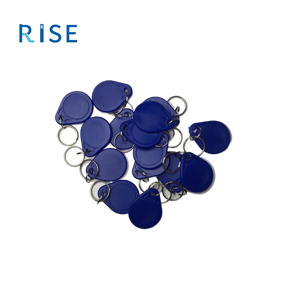Alibaba.com: RISE IC Card Control System with Blue Key Chain, RFID ...