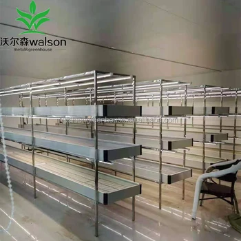 Indoor Farm Mushroom Racks Growing Shelves Growing System Hydroponic ...