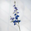 Blu scuro