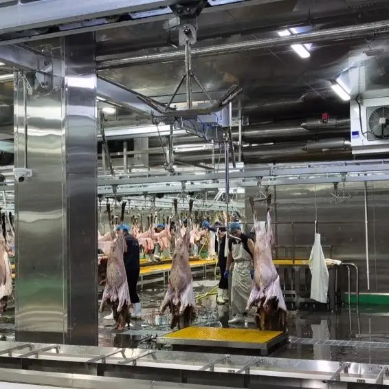 Industrial automatic halal mutton slaughtering equipment for modern slaughterhouse, complete goat slaughtering production line