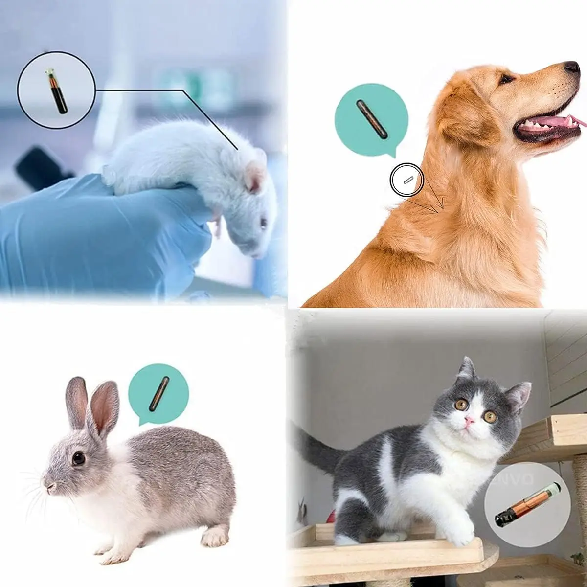 2.12x12mm RFID Pet Microchip