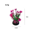 A004 สีสันสดใส