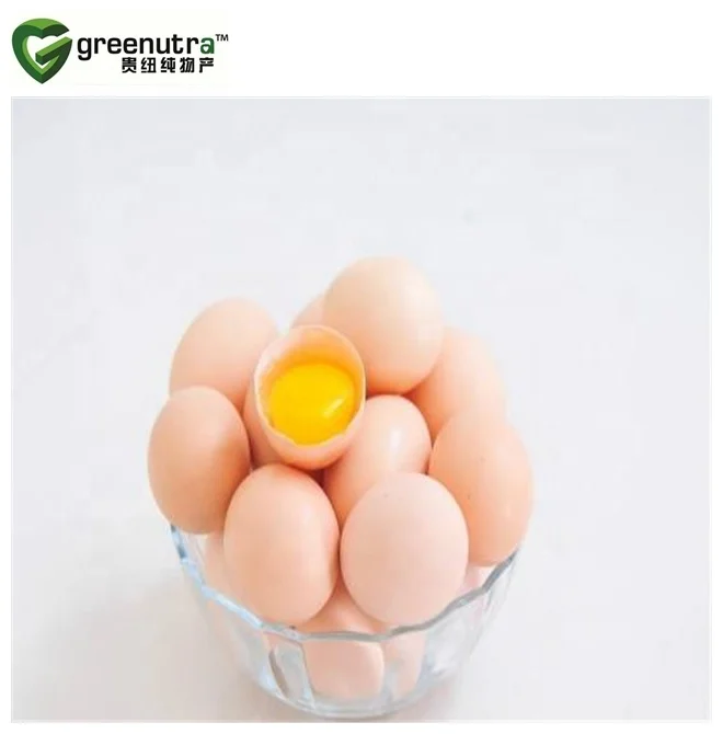 High quality Egg Powder