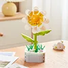 Fleur de soleil