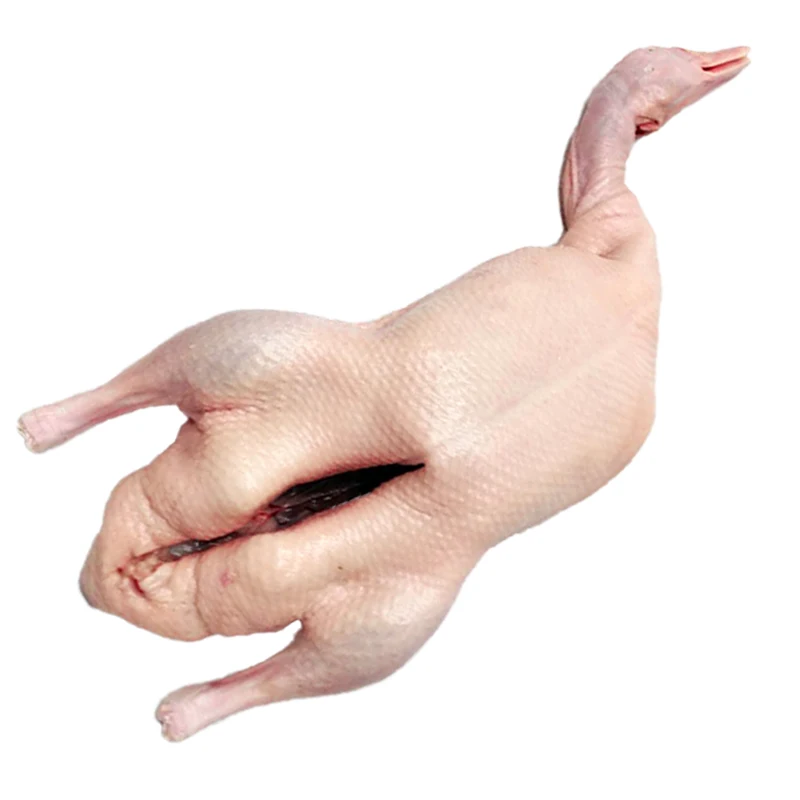 Wholesale Fresh Frozen Poultry High Quality Duck Breast Meat for Export