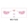 WS-F163