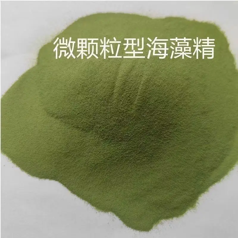 Shop Sell high-quality green seaweed extract organic fertilizer at the most favorable price-Detailed Image 2
