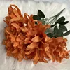 7 cabezas de naranja otoñal