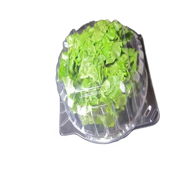 lettuce crisper, lettuce clam shell, lettuce packaging, aquaponic lettuce