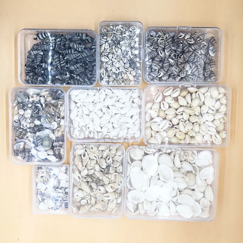 Mixed Ocean Seashells Natural Empty Clean Beach Shell Raw Sea Shells Combination Box Packaging for Home Decor and Crafts Making