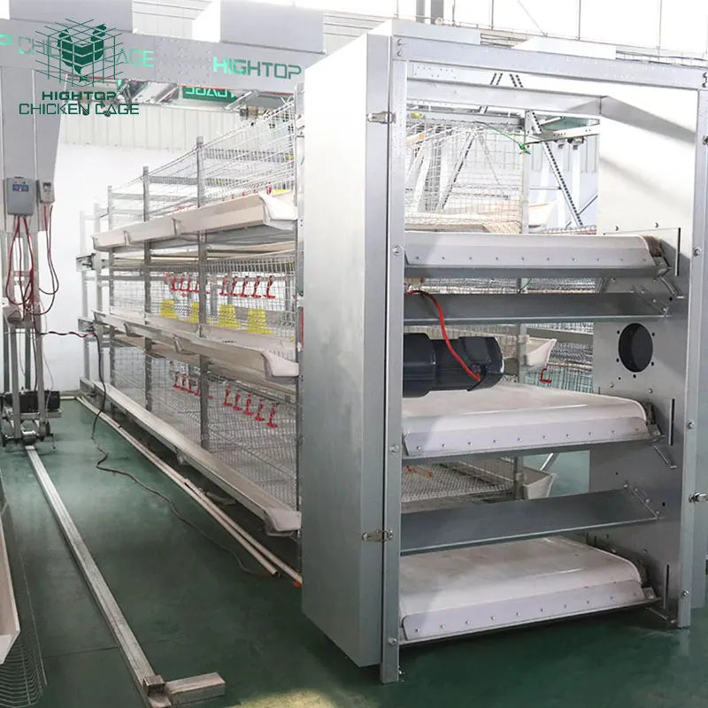Fully Automatic Battery 3 Tiers 4 Tiers H Type Poultry Farming Broiler Chicken Cage for Broiler Coop