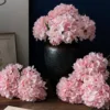 Rosa claro