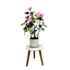 สีม่วง-60ซม