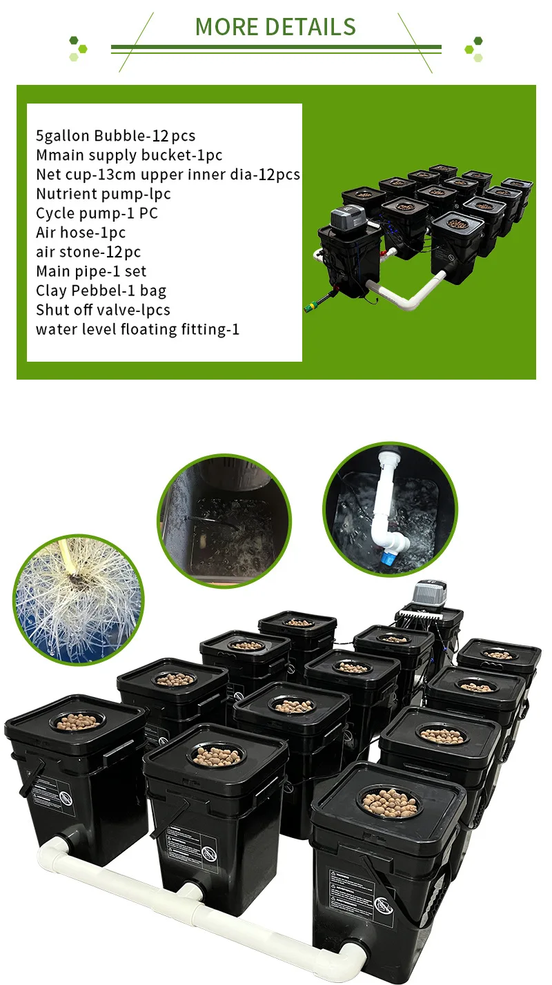 Recirculating Aquaponik Dutch Buckets Rdwc Systems. Bucket Pipe Dwc