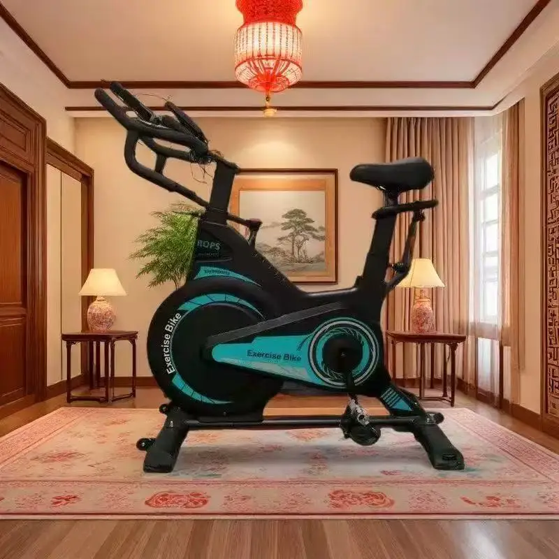 Cross-Border Wholesale Home Exercise Bike Indoor Cycling Exercise Fitness Dynamic Cycle
