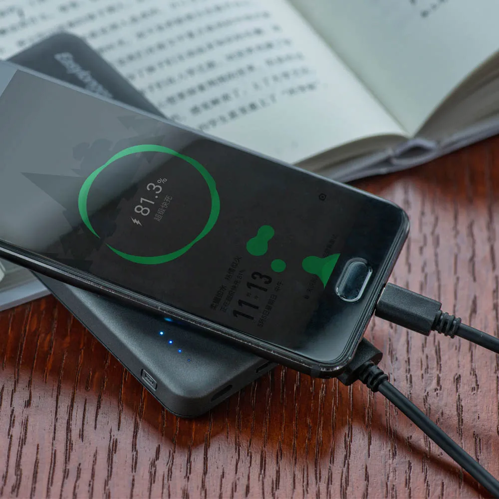 Factory Direct Price Portable Oem Dual Usb Output Micro Type c Slim Power Bank 10000 Mah