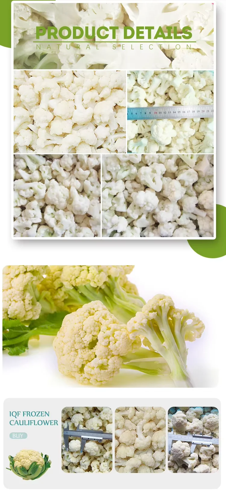 Wholesale Price Bulk Frozen Vegetables Frozen Cauliflower Iqf Cauliflower factory