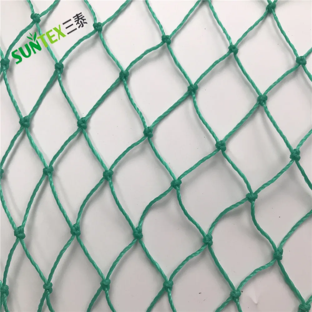 Wholesale Bird Netting Agricultural Reused Anti-bird Netting Orchard Anti  Bird protection Net