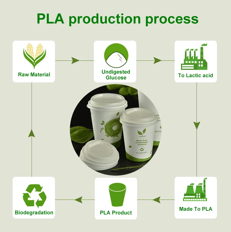 4oz 8oz 10oz 12oz 16oz 20oz Compostable Biodegradable Food Grade PLA Coffee Paper Cup with Lid
