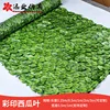 Color-printed watermelon leaves