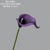 Deep purple