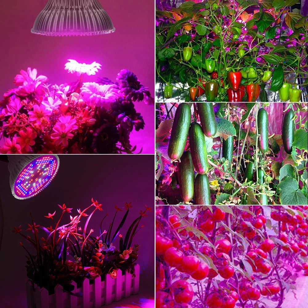 Liweida UV Plant E27 Grow Light IP65 Full Spectrum PAR38 150 LEDs Bloom  Support for Indoor Plants Replace 100W Bulb| Alibaba.com