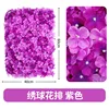 Hydrangea row, purple