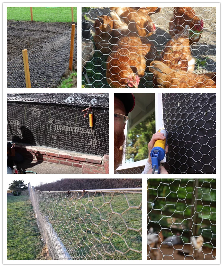 Multi Purpose 16 Gauge Galvanized Hexagonal Wire Mesh 3ft In Kenya