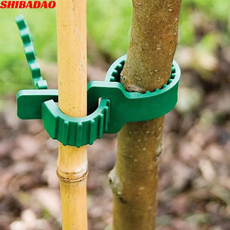 50 X 60cm Super Soft Rubber Tree Ties Straps Plant Support Whip Bareroot 24" 