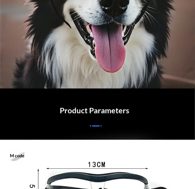 Lunettes de soleil pour chien coupe-vent toutes saisons_voghion.com