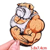 PE5806CT