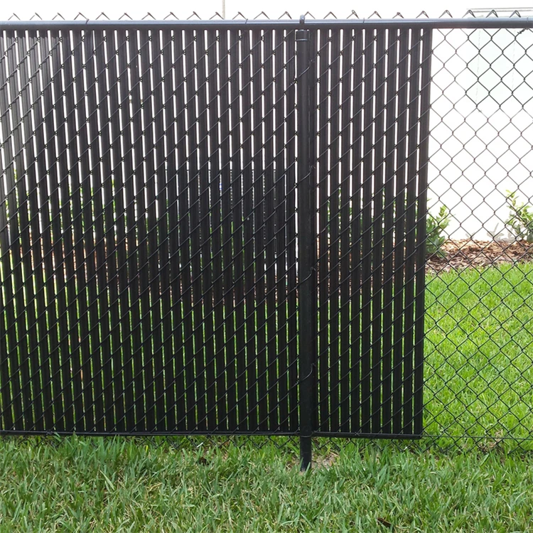 20140529_172500_.jpg