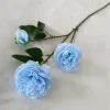 Blu-chiaro
