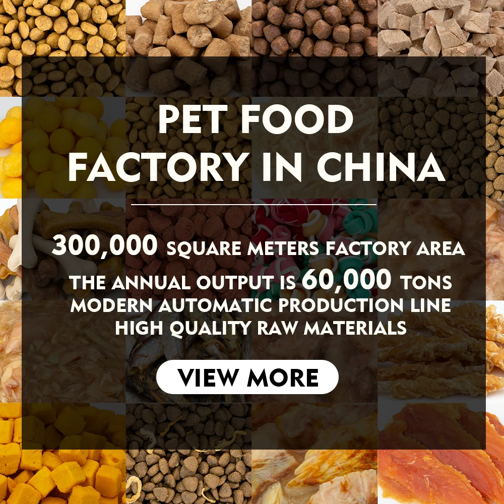 Factory Exports Custom Flavors Shapes Fat Content 5% -20% All Age Dry Dog Food