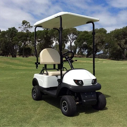 36V1200W Single Seat Electric Golf Cart with Club Car Design