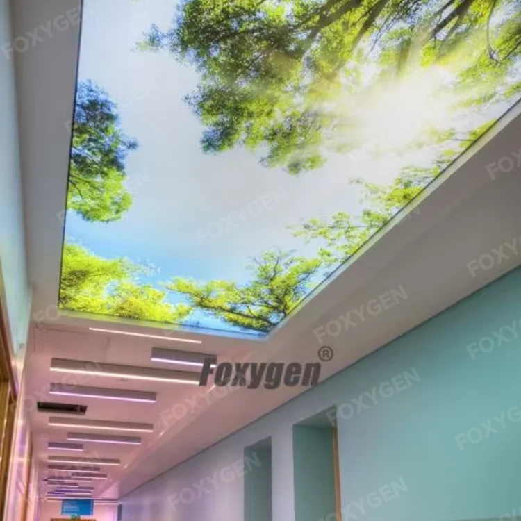width up to 59 m uv printed pvc stretch ceiling film-16