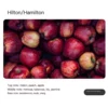 Hilton